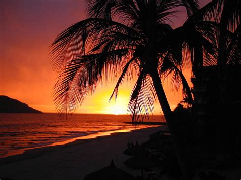 Las Mejores Puestas De Sol En La Playa Descargar Imágenes Gratis