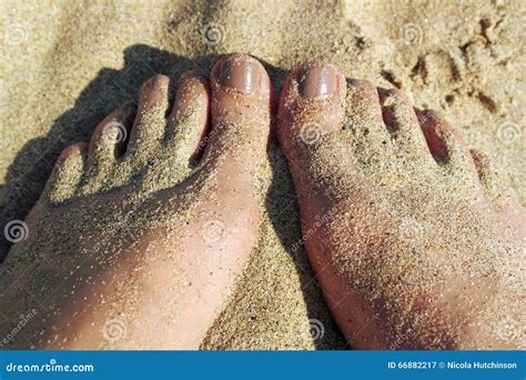 Sandy Feet Toes Stock Image Image Of Idyllic Feet 66882217