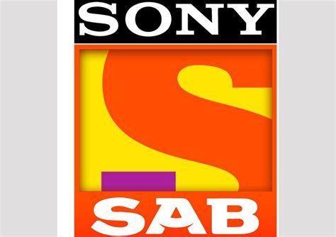 Sony Sab Artists Celebrate International Day Of Families Cricket