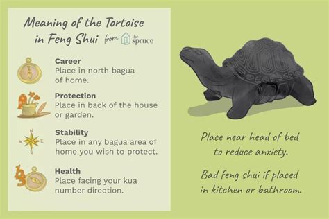 The vital, living energy of these plants will attract more chi into the missing area, thus balancing the overall chi of the bagua. How to Use the Tortoise Face in Feng Shui Practice in 2020 ...
