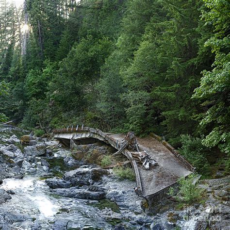 Broken Bridge In Oregon Photograph By Leah Mcdaniel