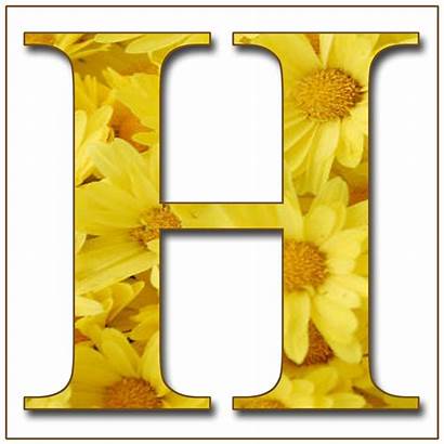 Scrapbook Yellow Alphabet Flowers Letters Floral Letter