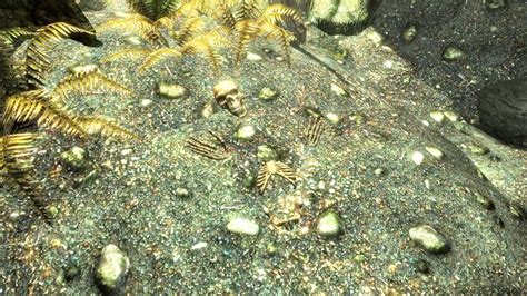 Easter Egg Carbonite Han Solo Inside Honeystrand Cave Skyrim