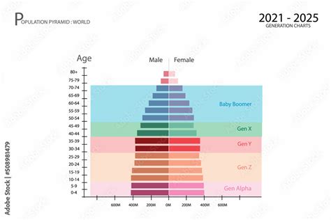 Grafika Wektorowa Stock Population And Demography Population Pyramids