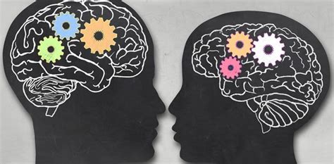 Are Male And Female Brains Really Different Neuroscience News