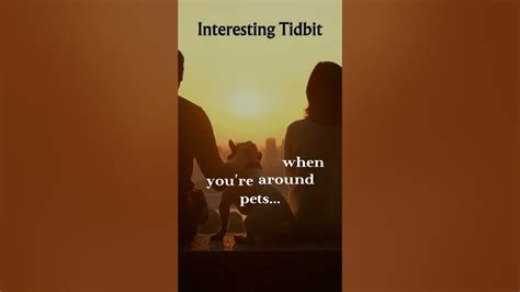 Pawsitive Vibes:🦜 The Science Behind Bonding with Pets and Oxytocin. 🐶🐇