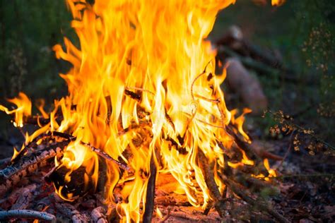 Bonfire In The Forest Stock Photo Image Of Grass Danger 165537176