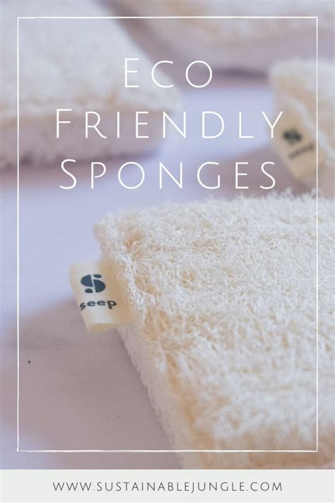 Eco Friendly Sponges Biodegradable Option You’ll Love