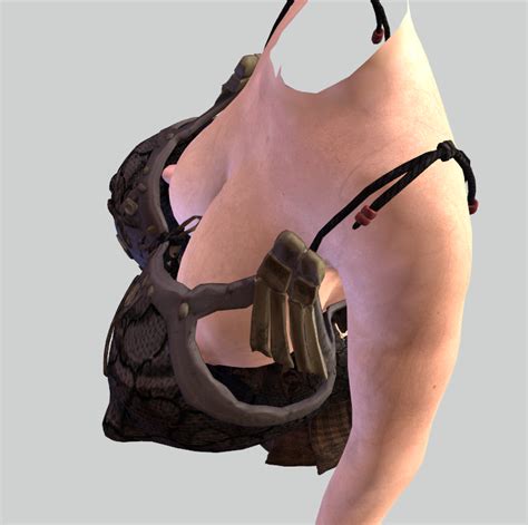 BodySlide Body Baseshape Not Scaling With Outfit Armor Skyrim