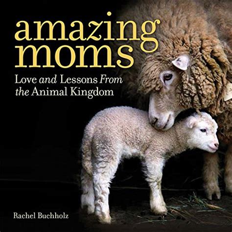 Buy Amazing Moms Love And Lessons From The Animal Kingdom Online At