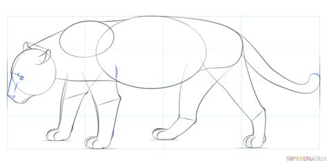 In this lesson, we're learning how to draw a simple cartoon jaguar!join our monthly membership and download our app! Jaguar Step By Step Coloring Pages