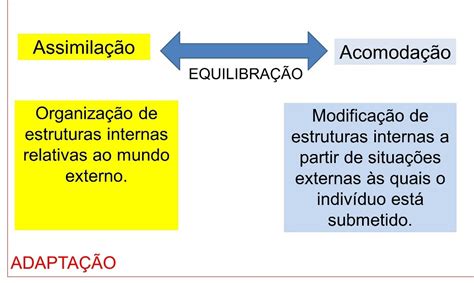 Assimilação E Acomodação Piaget