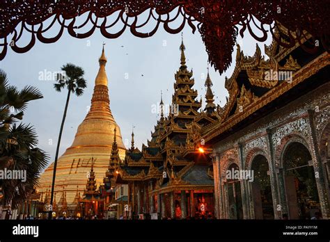 Sunset At Shwedagon Pagoda In Yangon Myanmar Shwedagon Pagoda Is The