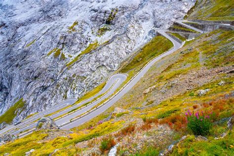 Serpentines Of Alpine Mountain Road To Stelvio Pass Stock Photo Image