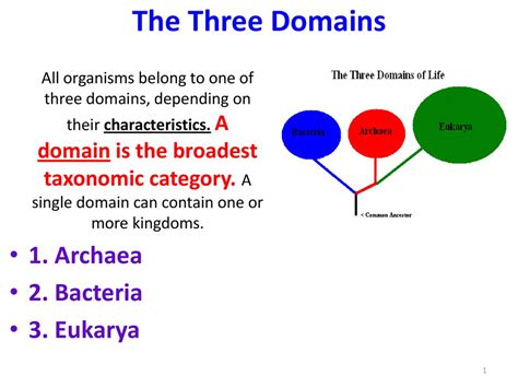 Three Domain Classification