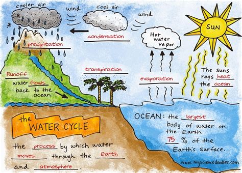 Science The Water Cycle Diagram Quizlet