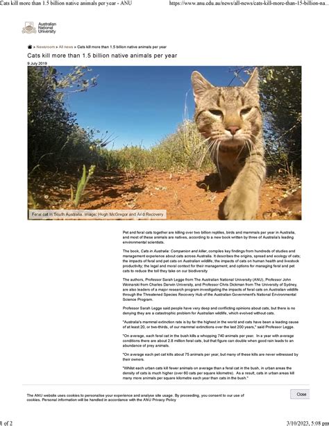 Anu Cat Study Fs Resource Newsroom All News Cats Kill More