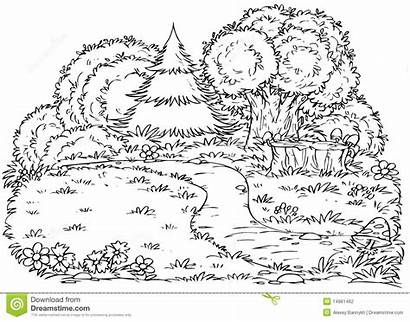 Forest Coloring Printable Path Deciduous Bos Weg