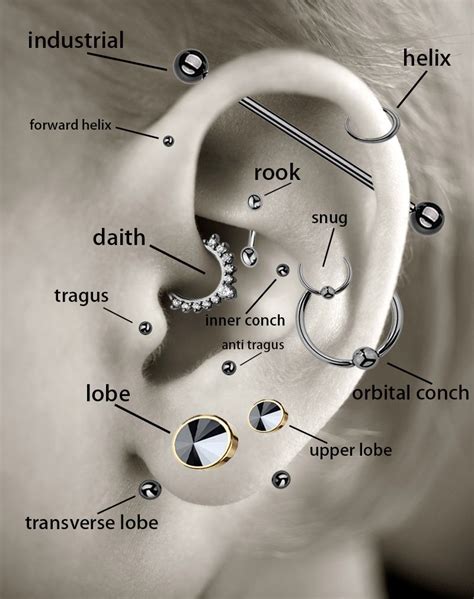 parts of the ear piercing chart