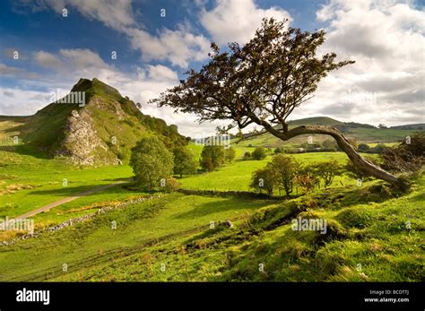 Parkhouse Hill From Chrome Hill Peak District National Park