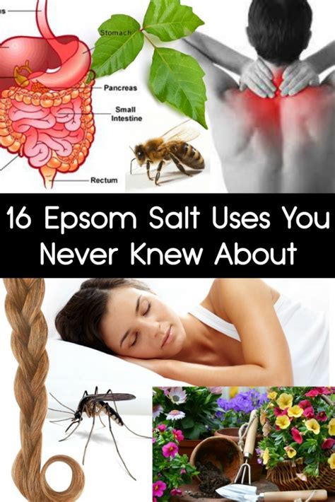 16 Epsom Salt Uses You Never Knew About