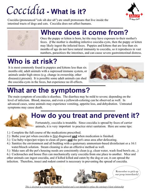 Only natural pet probiotic blend for dogs and cats a gentle formula that helps. INFO & FORMS - Animal AM-Emergency Clinic