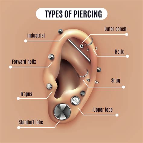 Piercing Places Ear Epicrally Co Uk