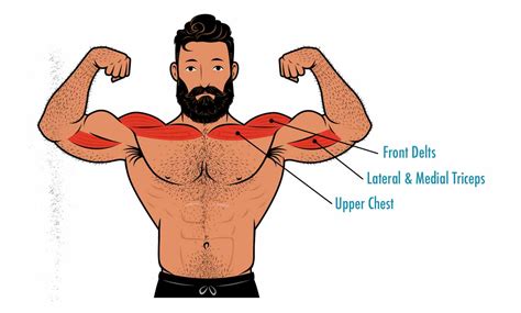 The Close Grip Bench Press Guide Outlift