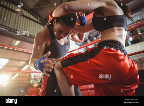 Female Boxers Fighting In Boxing Ring Stock Photo Alamy