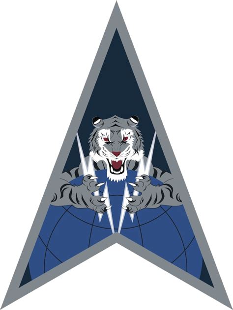 Combined Space Operations Center Space Delta 5 Fact Sheet Joint