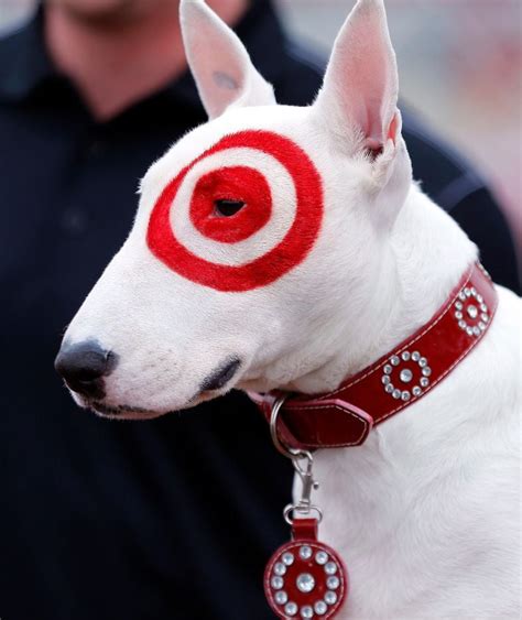 Photos Canine Celebrity Bullseye The Target Dog Helped Open Texas