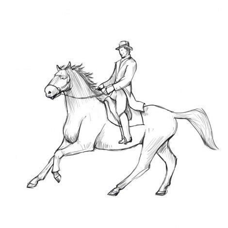 Pferd mit Reiter zeichnen Schritt für Schritt Anleitung