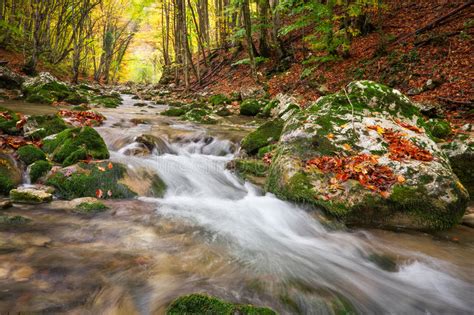 Beautiful Autumn Landscape With Mountain River Stock Photo Image Of