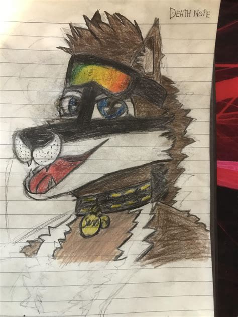 Did Another Drawing Of My Fursona Tried To Improve On It With The