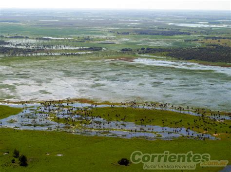 Esteros Del Iberá En Corrientes Turismo Reserva Natural