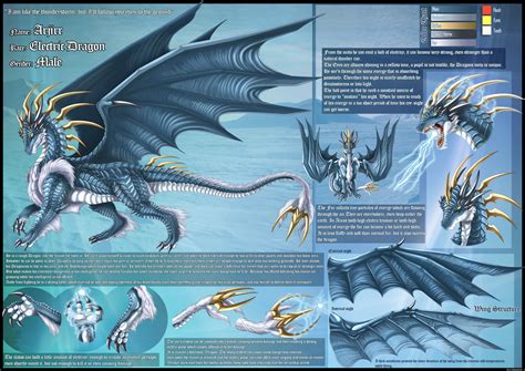 Electric Dragon Ref Sheet By Drakainaqueen On Deviantart