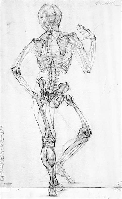 Anatomia Anatomia Artistica Dibujo Anatomia Humana Y Anatomia Images