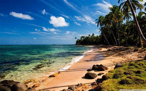 You can also upload and share your favorite nature 4k wallpapers. Tropical Beach With Grass 4K HD Desktop Wallpaper for 4K ...