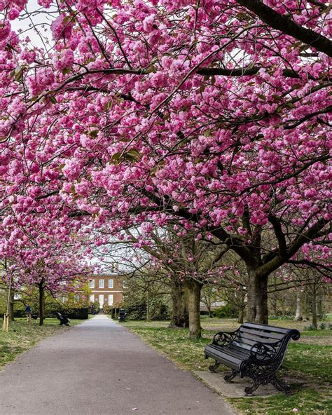 Michaels Instagram Photo “the Most Popular Spot In London This Week