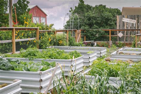 Reasons To Plant A Victory Garden • The Prairie Homestead