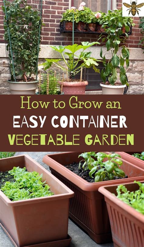 Growing Vegetables In Containers Ideas For Beginners Starting A