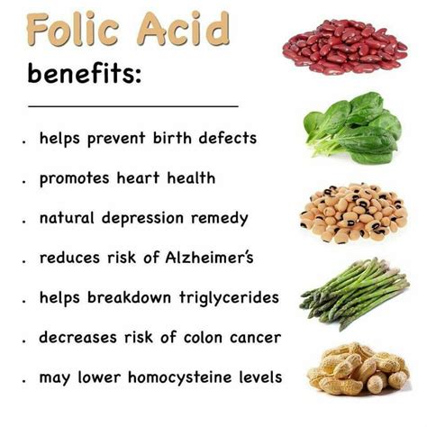 Folic acid is a water soluble vitamin found in many foods and particularly in leafy green vegetables that is essential for the critical biosynthetic pathways involving transfer of methyl groups to organic compounds. Kenapa Ibu Hamil Wajib Makan Bcomplex-Pengedar Shaklee Penang