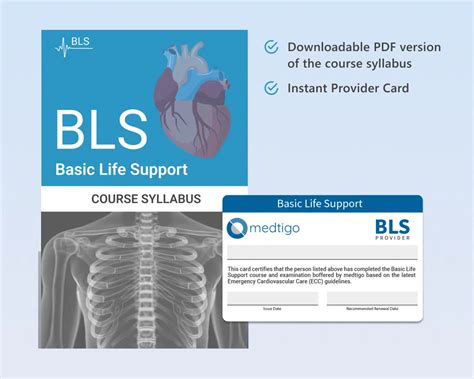 Basic Life Support Bls Standard