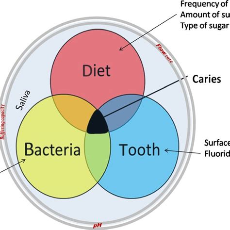 Etiology Of Dental Caries Download Scientific Diagram
