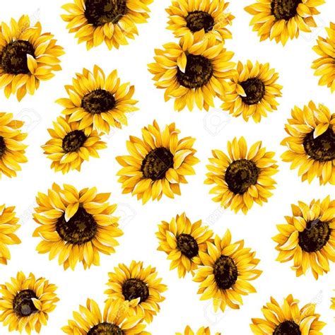 Sunflower Pattern Sunflower Illustration Sunflower Wallpaper