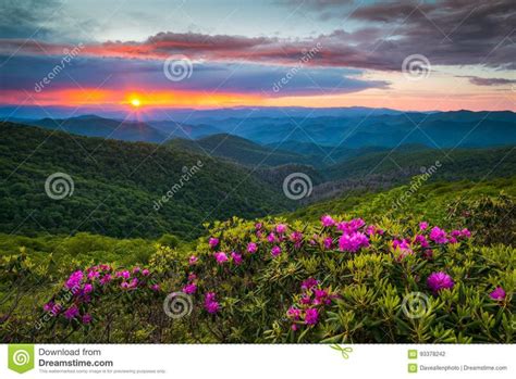 North Carolina Blue Ridge Parkway Spring Flowers Scenic Mountain