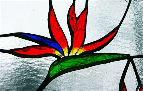 Bird Of Paradise Foiled And Faceted Stained Glass Birds Of Paradise Flower Birds Of