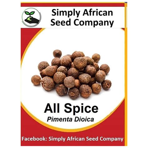 all spice pimenta dioica seeds simply african seed company
