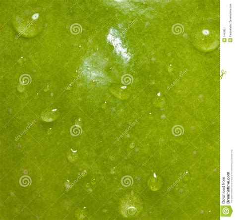 Green Apple Macro Texture Stock Image Image Of Close 7440831