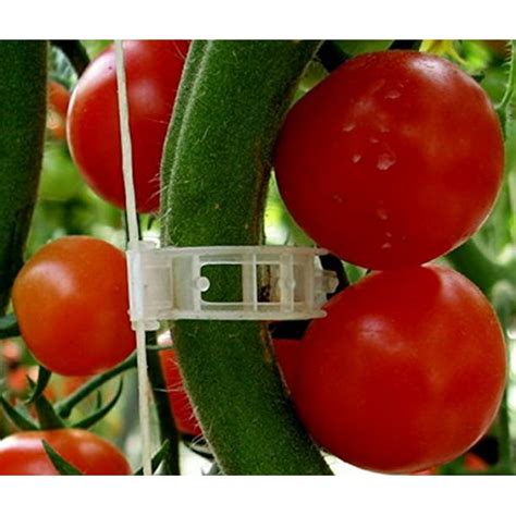 Plant Clips Support Tomatoes Peppers Vine Plants And Flowers To Grow